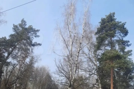 Участок 5,7 сот. (СНТ, ДНП)